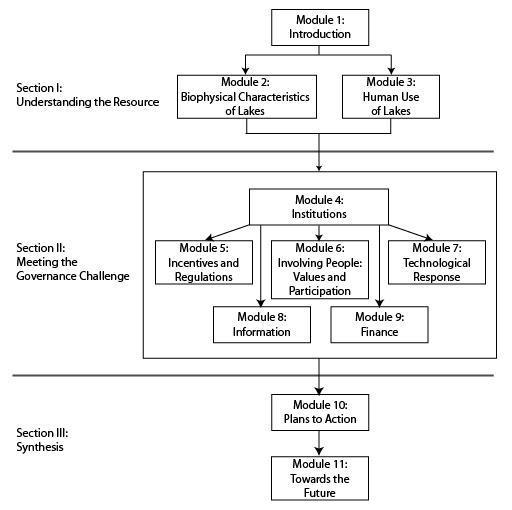 Structure of the report